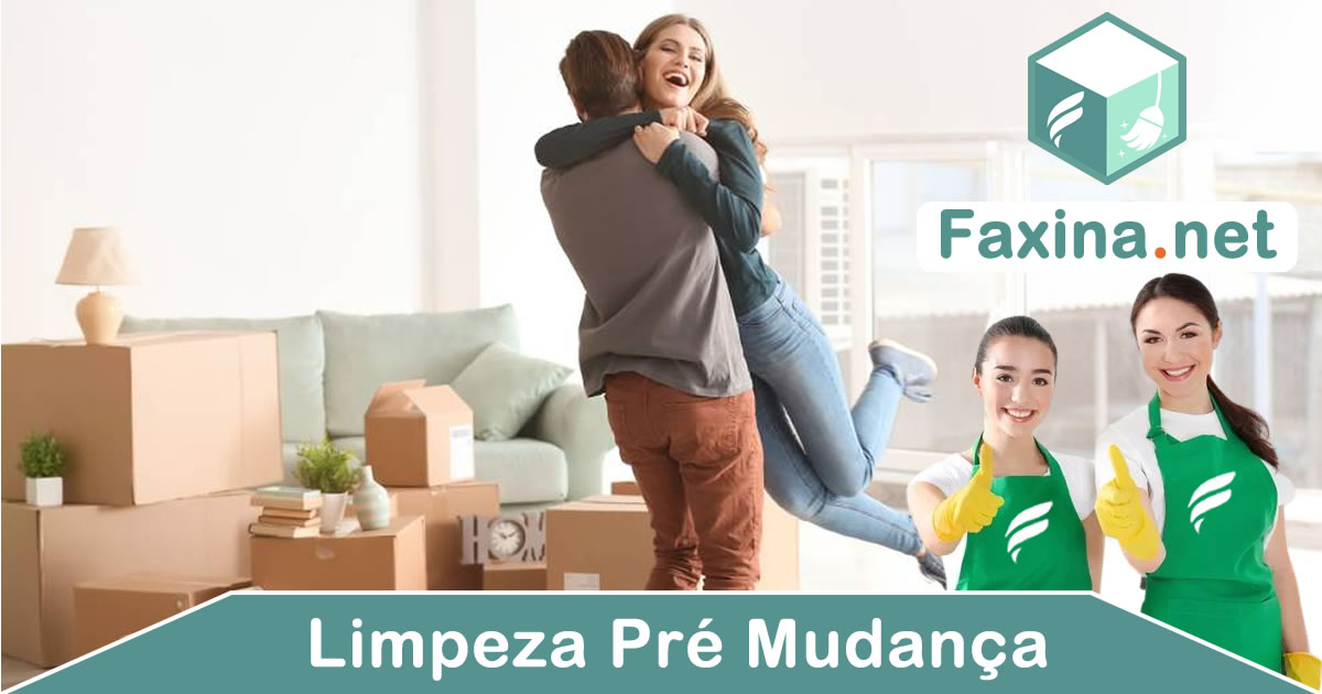 Preço de uma limpeza pré mudança RJ